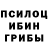 Псилоцибиновые грибы GOLDEN TEACHER CorvaX1993