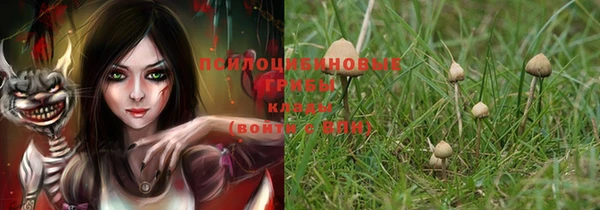 прущие крисы Инсар