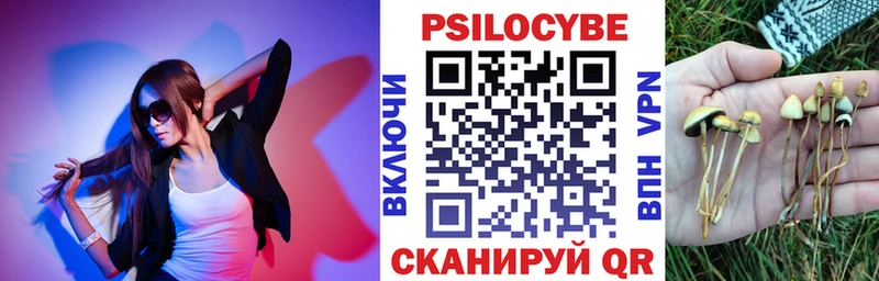 Купить где  Джанкой  Псилоцибиновые грибы мухоморы 